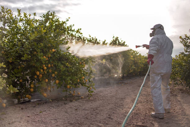 Wildlife Control Services in New Castle, DE